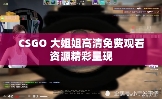 CSGO 大姐姐高清免费观看资源精彩呈现