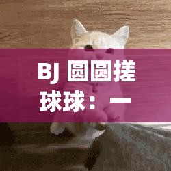 BJ 圆圆搓球球：一个有趣且独特的行为描述