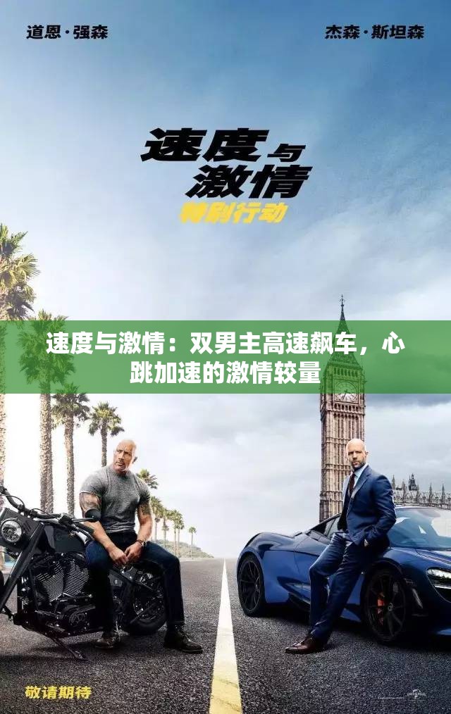 速度与激情：双男主高速飙车，心跳加速的激情较量