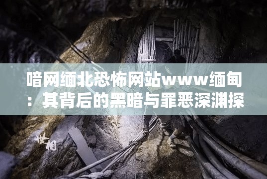 喑网缅北恐怖网站www缅甸：其背后的黑暗与罪恶深渊探秘