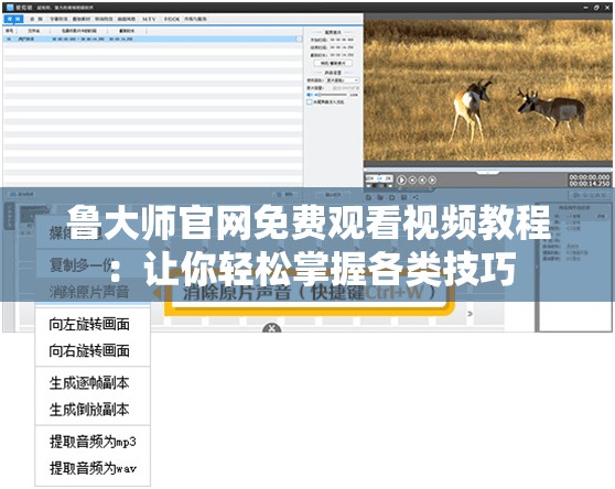 鲁大师官网免费观看视频教程：让你轻松掌握各类技巧