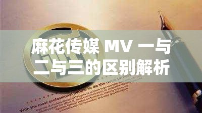 麻花传媒 MV 一与二与三的区别解析