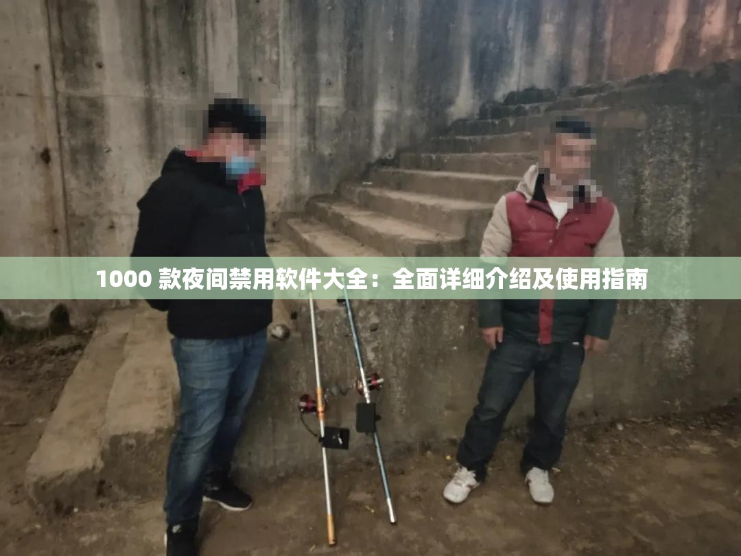 1000 款夜间禁用软件大全：全面详细介绍及使用指南