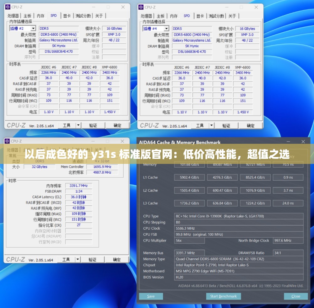 以后成色好的 y31s 标准版官网：低价高性能，超值之选