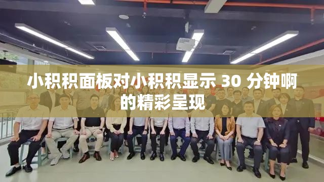 小积积面板对小积积显示 30 分钟啊的精彩呈现