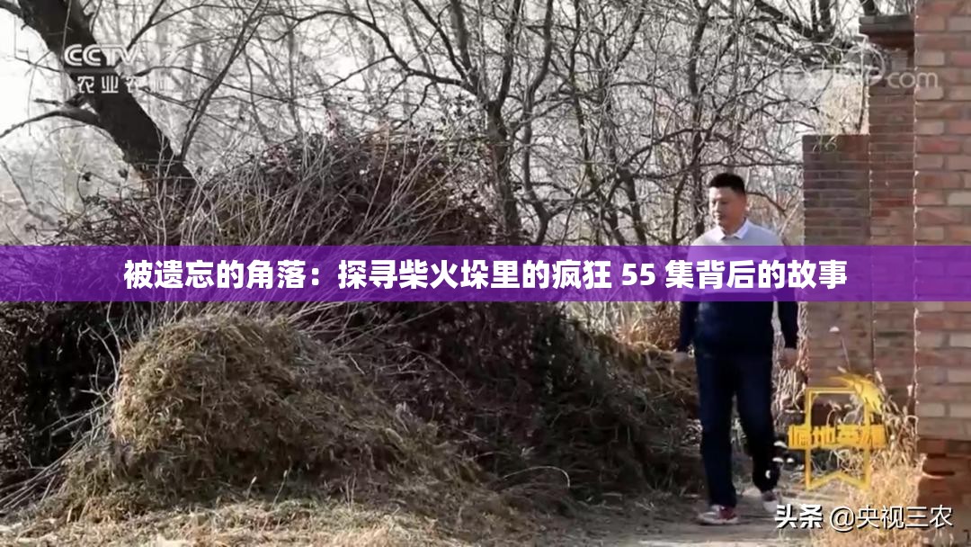 被遗忘的角落：探寻柴火垛里的疯狂 55 集背后的故事