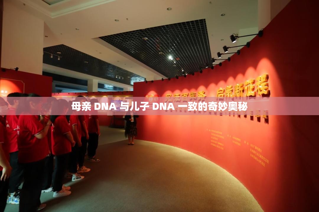 母亲 DNA 与儿子 DNA 一致的奇妙奥秘