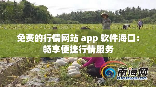 免费的行情网站 app 软件海口：畅享便捷行情服务