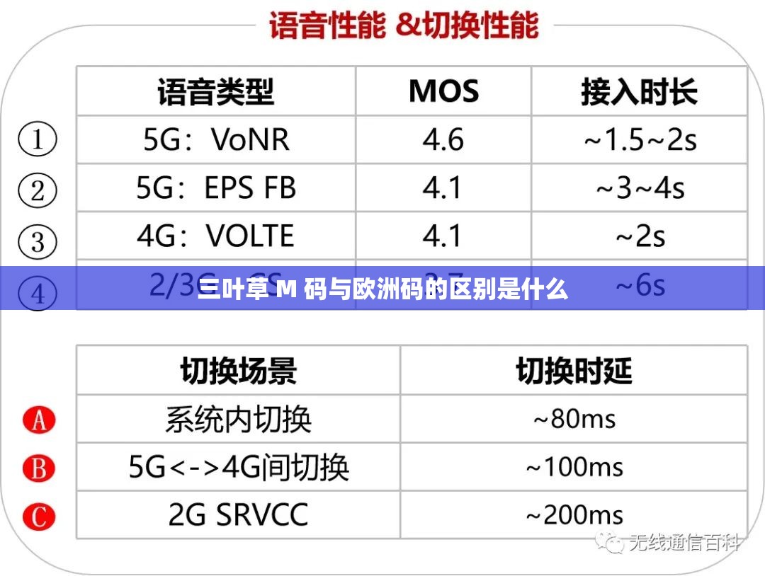 三叶草 M 码与欧洲码的区别是什么