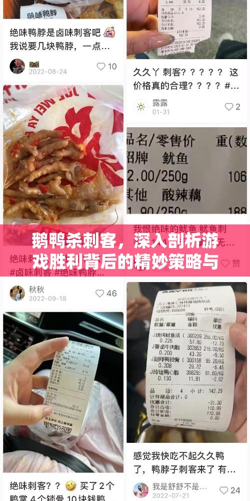 鹅鸭杀刺客，深入剖析游戏胜利背后的精妙策略与智慧运用