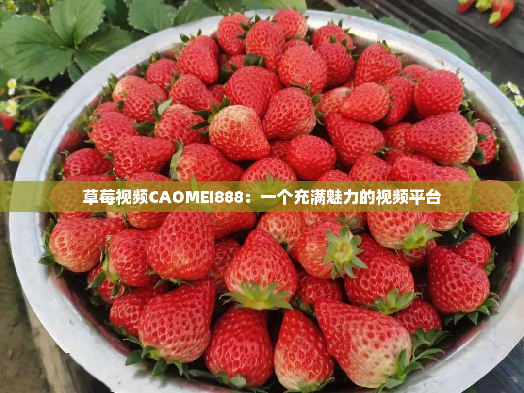 草莓视频CAOMEI888：一个充满魅力的视频平台