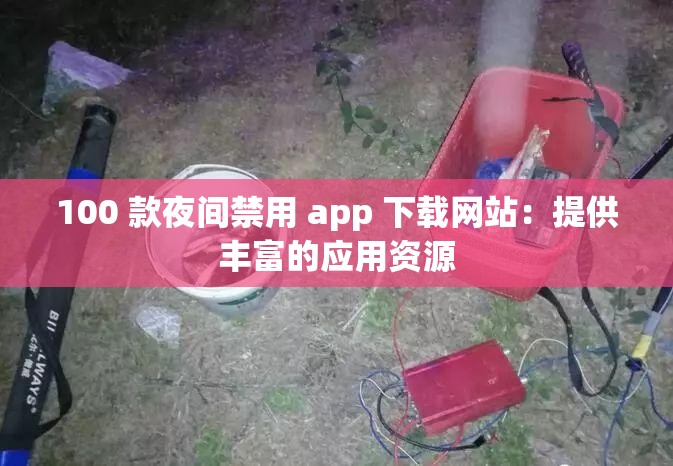 100 款夜间禁用 app 下载网站：提供丰富的应用资源