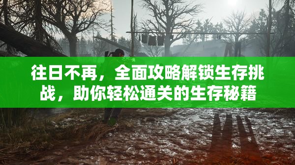 往日不再，全面攻略解锁生存挑战，助你轻松通关的生存秘籍