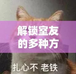 解锁室友的多种方式全揭秘：探索解锁室友的 N 种有效途径