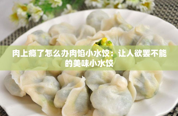 肉上瘾了怎么办肉馅小水饺：让人欲罢不能的美味小水饺