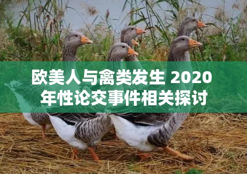 欧美人与禽类发生 2020 年性论交事件相关探讨