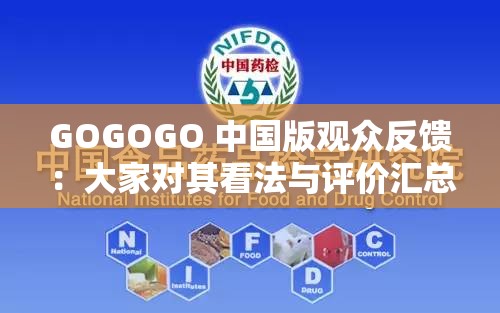 GOGOGO 中国版观众反馈：大家对其看法与评价汇总