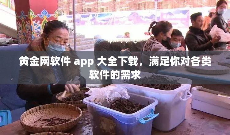 黄金网软件 app 大全下载，满足你对各类软件的需求