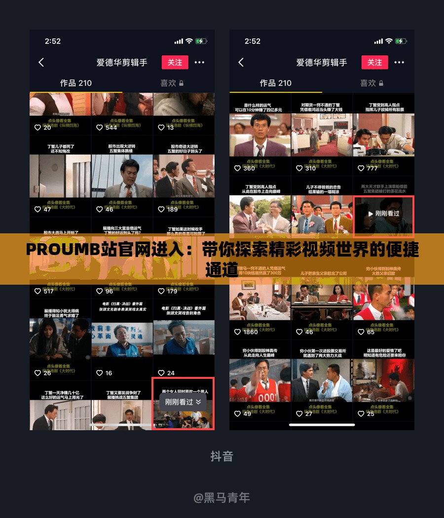 PROUMB站官网进入：带你探索精彩视频世界的便捷通道