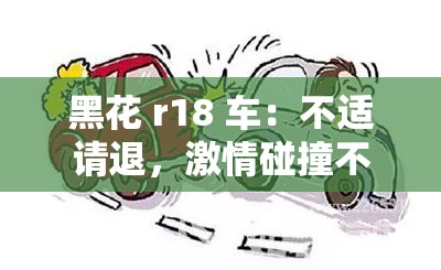 黑花 r18 车：不适请退，激情碰撞不可描述