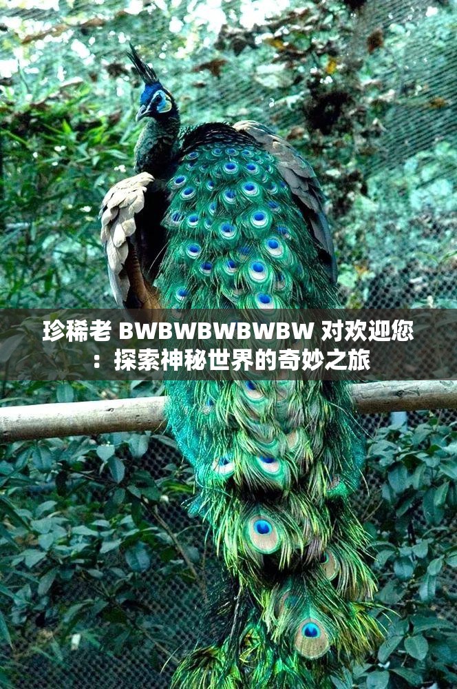 珍稀老 BWBWBWBWBW 对欢迎您：探索神秘世界的奇妙之旅