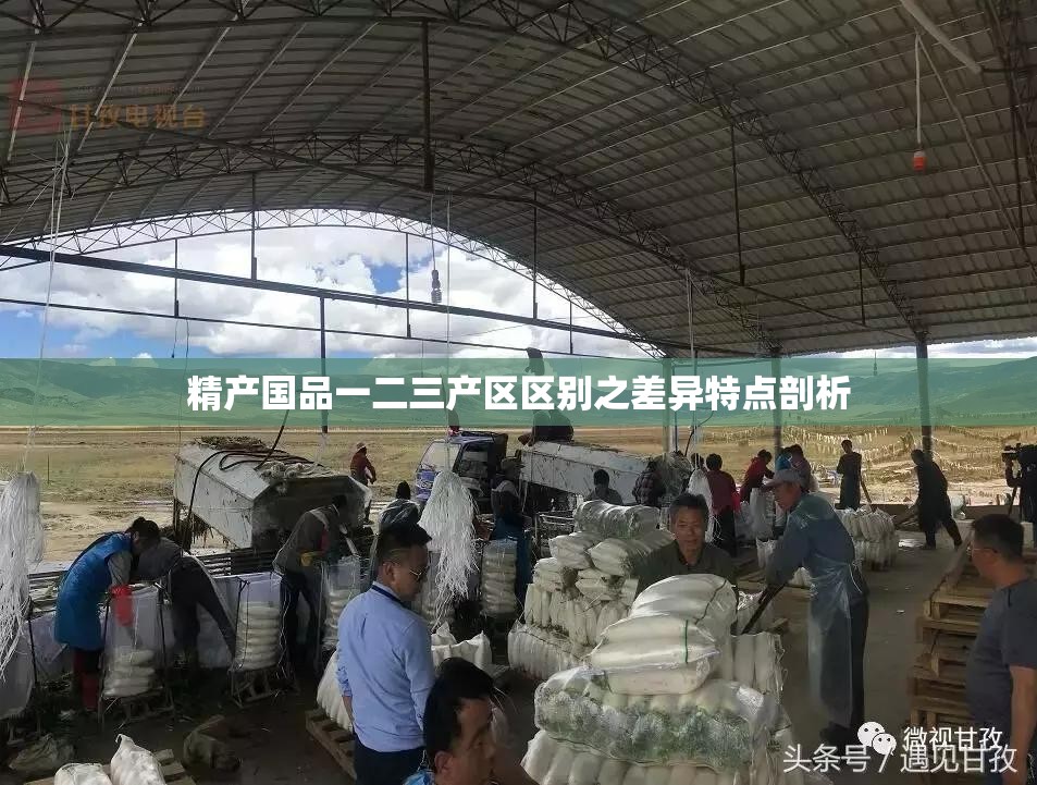 精产国品一二三产区区别之差异特点剖析