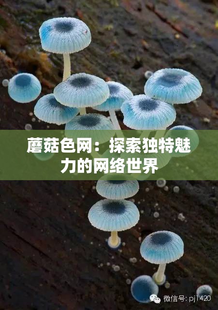 蘑菇色网：探索独特魅力的网络世界