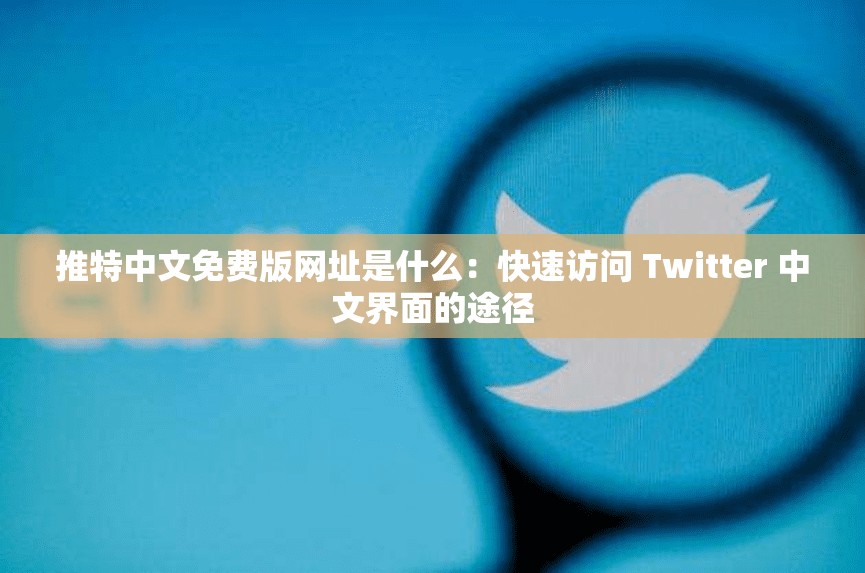 推特中文免费版网址是什么：快速访问 Twitter 中文界面的途径