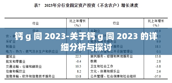 钙 g 同 2023-关于钙 g 同 2023 的详细分析与探讨