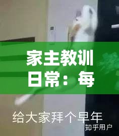 家主教训日常：每天都在被调教的边缘试探