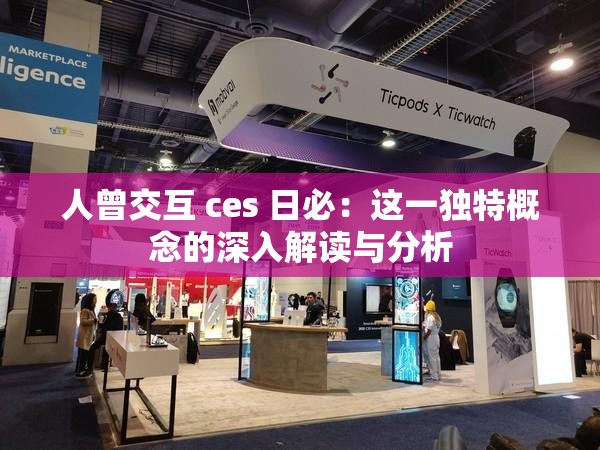 人曾交互 ces 日必：这一独特概念的深入解读与分析