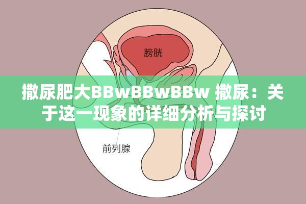 撒尿肥大BBwBBwBBw 撒尿：关于这一现象的详细分析与探讨