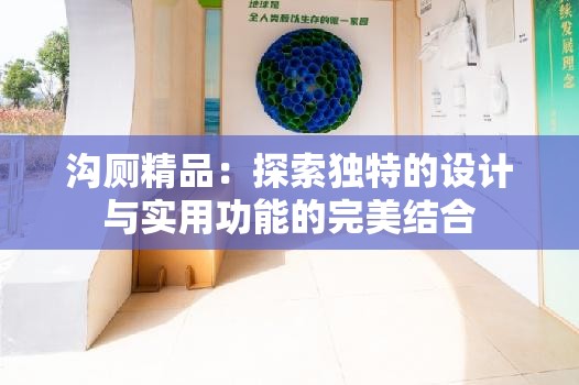 沟厕精品：探索独特的设计与实用功能的完美结合