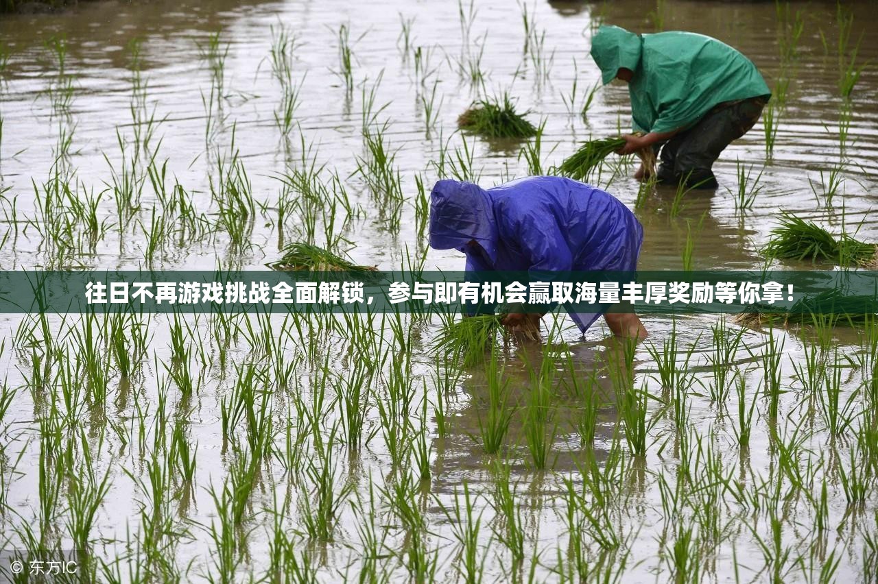 往日不再游戏挑战全面解锁，参与即有机会赢取海量丰厚奖励等你拿！