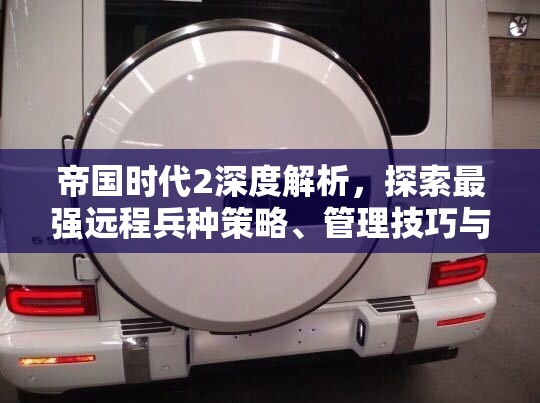 帝国时代2深度解析，探索最强远程兵种策略、管理技巧与价值最大化路径