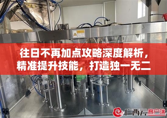 往日不再加点攻略深度解析，精准提升技能，打造独一无二的生存传奇之路