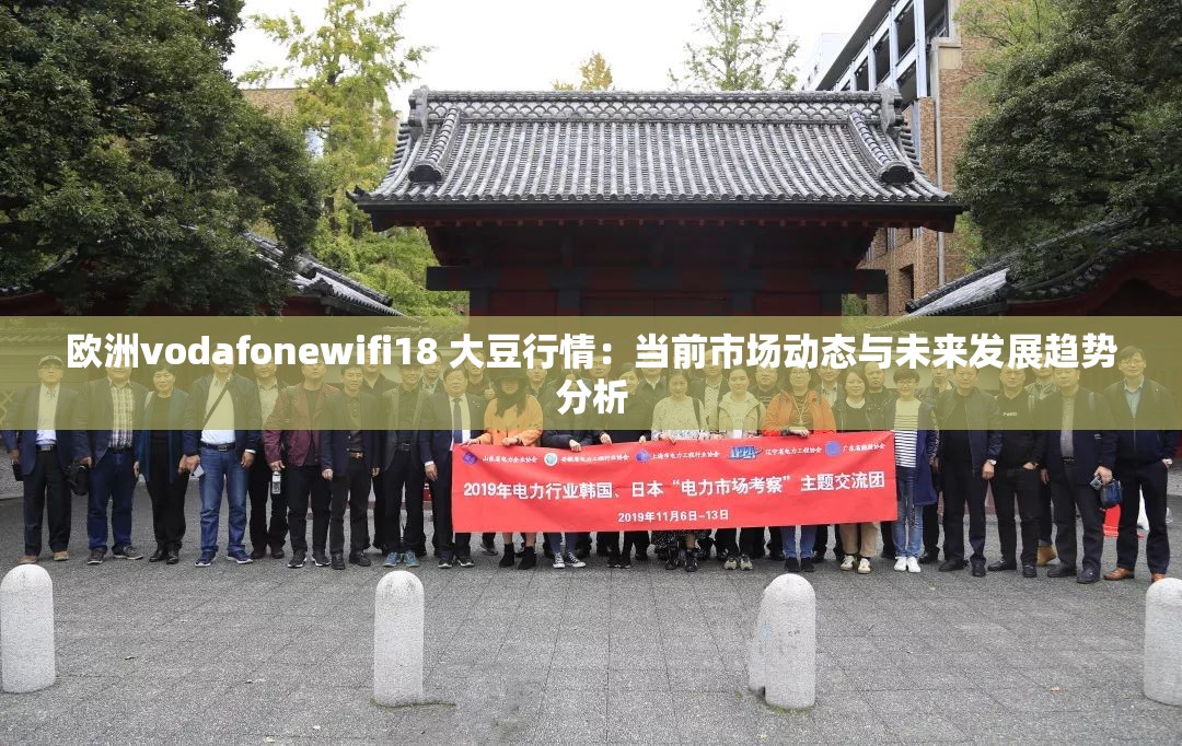 欧洲vodafonewifi18 大豆行情：当前市场动态与未来发展趋势分析