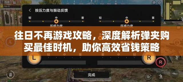 往日不再游戏攻略，深度解析弹夹购买最佳时机，助你高效省钱策略