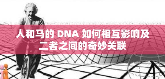 人和马的 DNA 如何相互影响及二者之间的奇妙关联