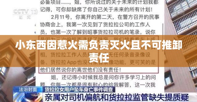 小东西因惹火需负责灭火且不可推卸责任