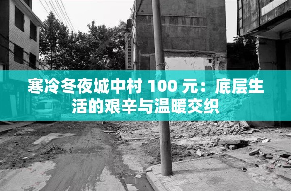 寒冷冬夜城中村 100 元：底层生活的艰辛与温暖交织