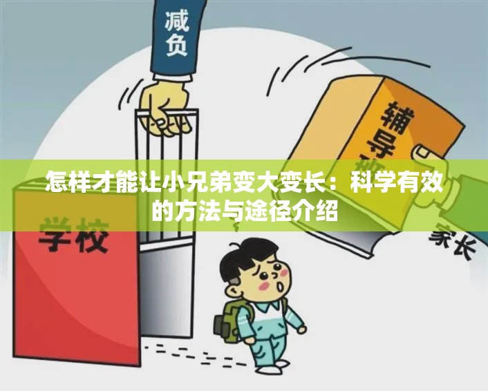 怎样才能让小兄弟变大变长：科学有效的方法与途径介绍