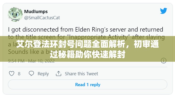 艾尔登法环封号问题全面解析，初审通过秘籍助你快速解封