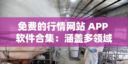 免费的行情网站 APP 软件合集：涵盖多领域的实用工具