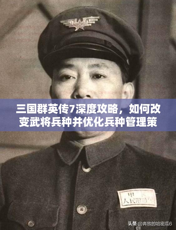 三国群英传7深度攻略，如何改变武将兵种并优化兵种管理策略