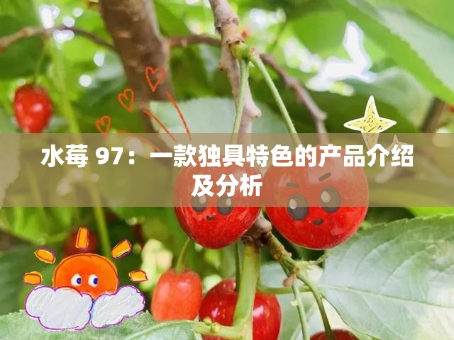 水莓 97：一款独具特色的产品介绍及分析