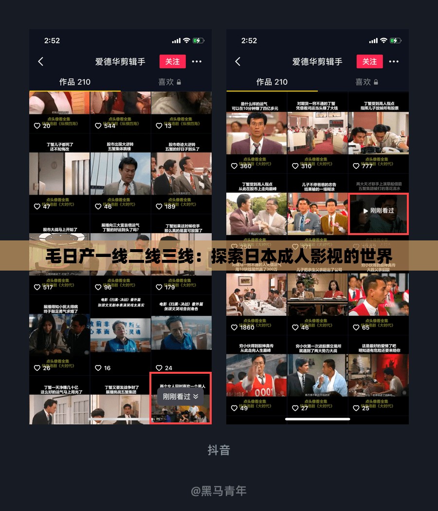 毛日产一线二线三线：探索日本成人影视的世界