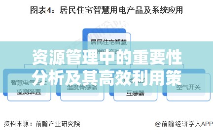 资源管理中的重要性分析及其高效利用策略的实践探索