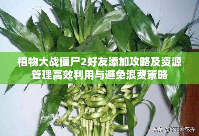 植物大战僵尸2好友添加攻略及资源管理高效利用与避免浪费策略