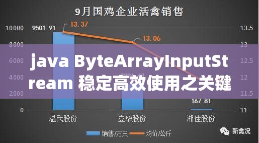 java ByteArrayInputStream 稳定高效使用之关键要点